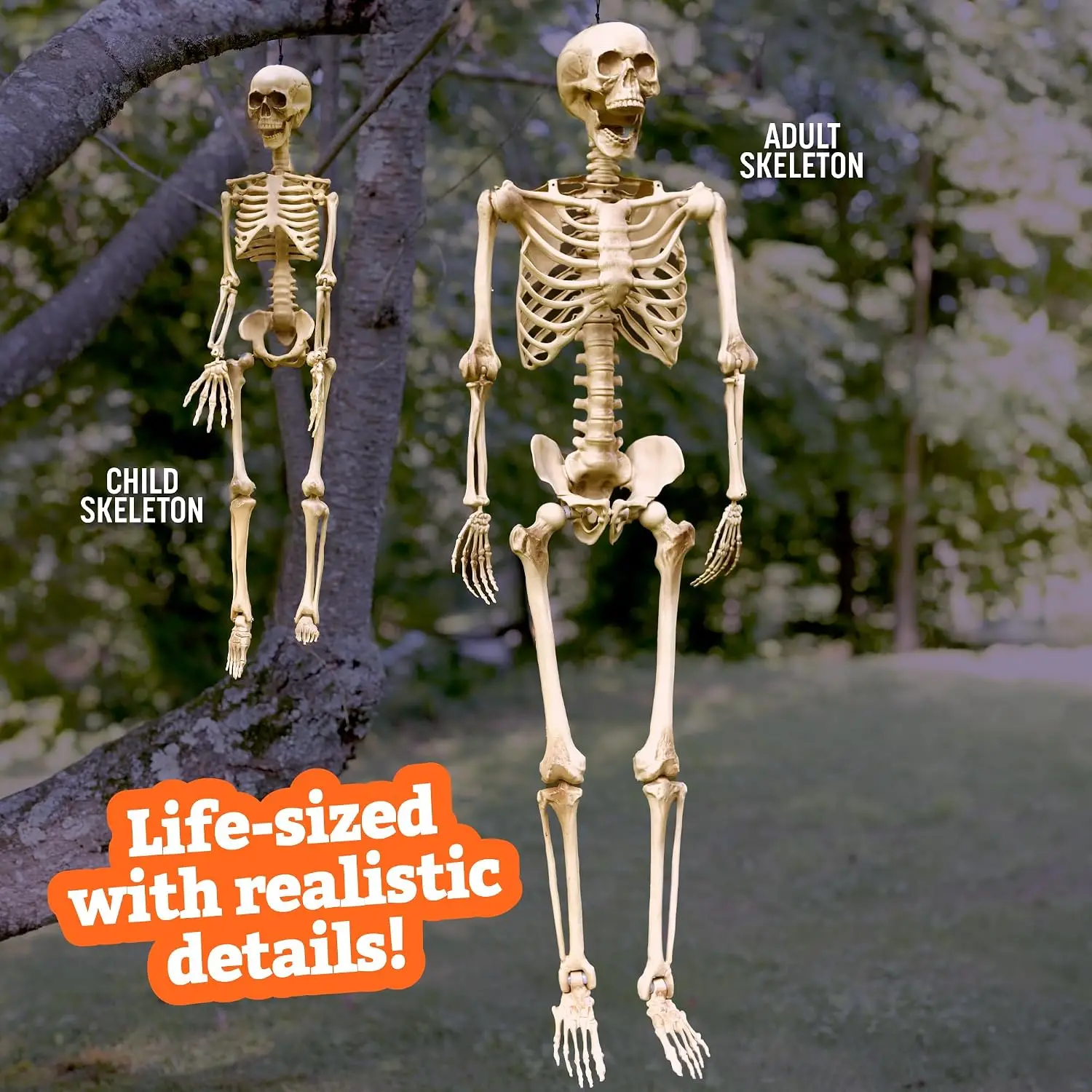 Life Size Posable Human Skeleton Family 4 Pack, 2 Adults 5.4Ft & 2 Children 2Ft, Indoor Outdoor with Bendable Articulated Bones