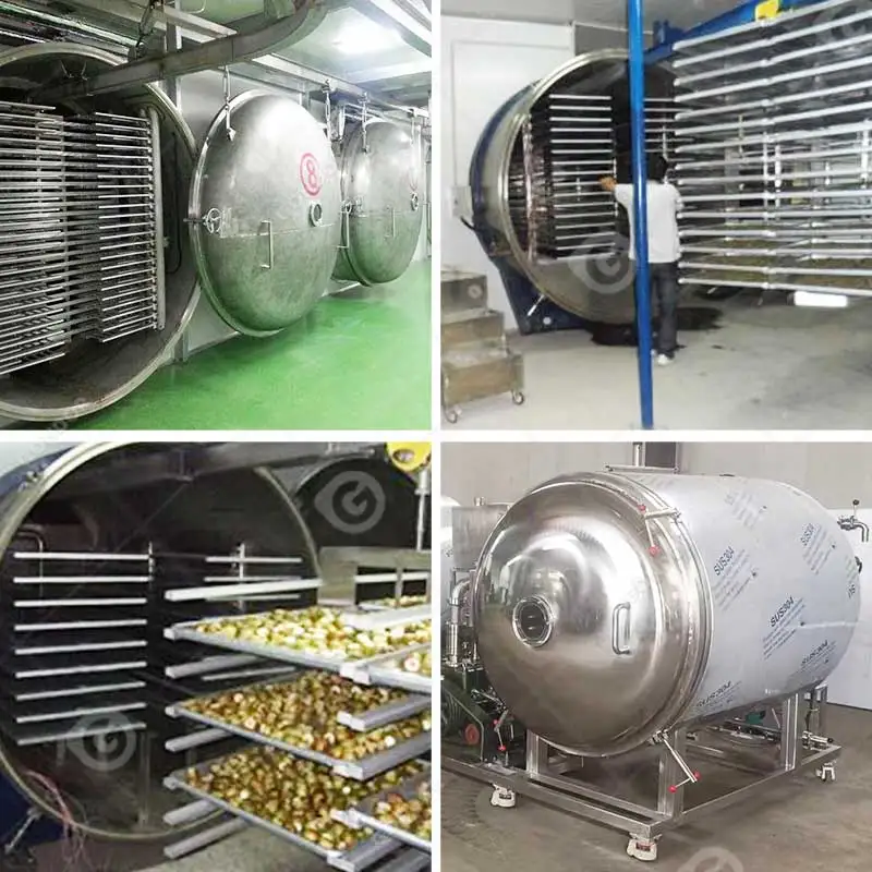 Industrial Lyophilizer Liofilizador Freeze Freezing Drying Dried Dry Dryer Machine Equipment for Food Customized