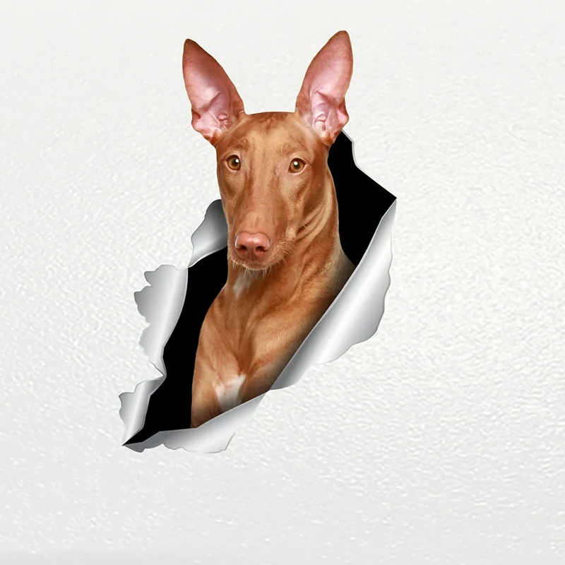 V1127# Car Sticker Pharaoh Hound Dog Pet Waterproof Vinyl Decal Car Accessories Pegatinas Para Coche DIY Car Styling