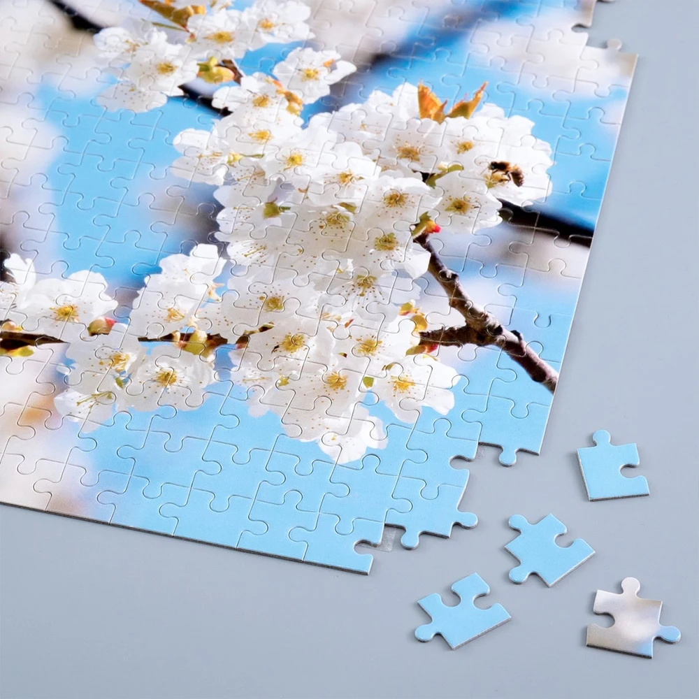 35/300/500/1038Pcs … - image