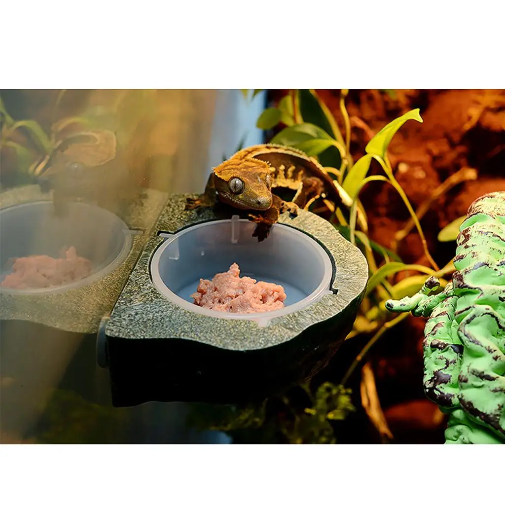 Resin Magnetic Feeding ledge with cup for Gecko Diet Food &Water 9.5x8x3.5cm