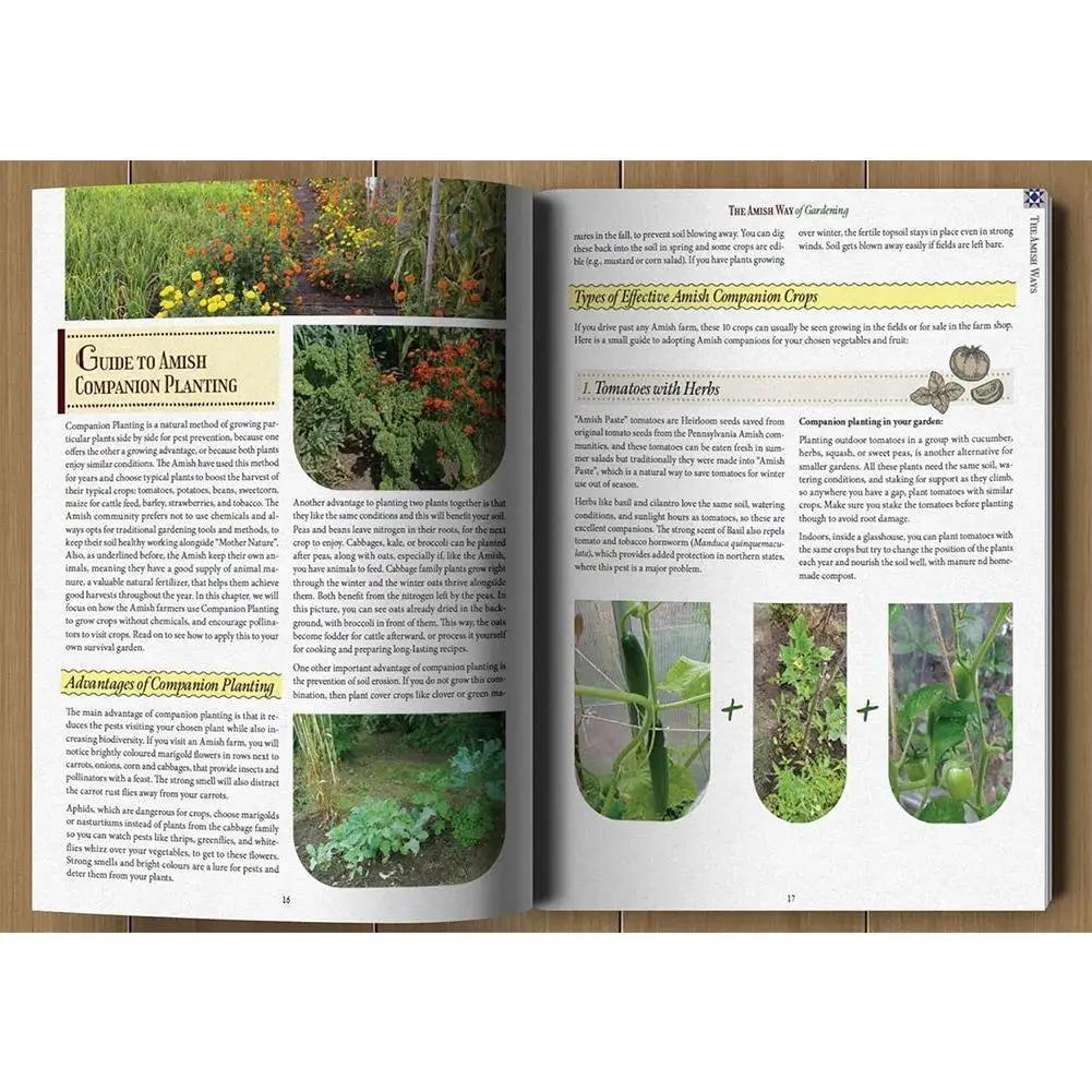 2025 New Hot An Introduction To The Amish Herbal Book On Skills In The Face Of Economic Collapse Civil War And Corporate Strikes