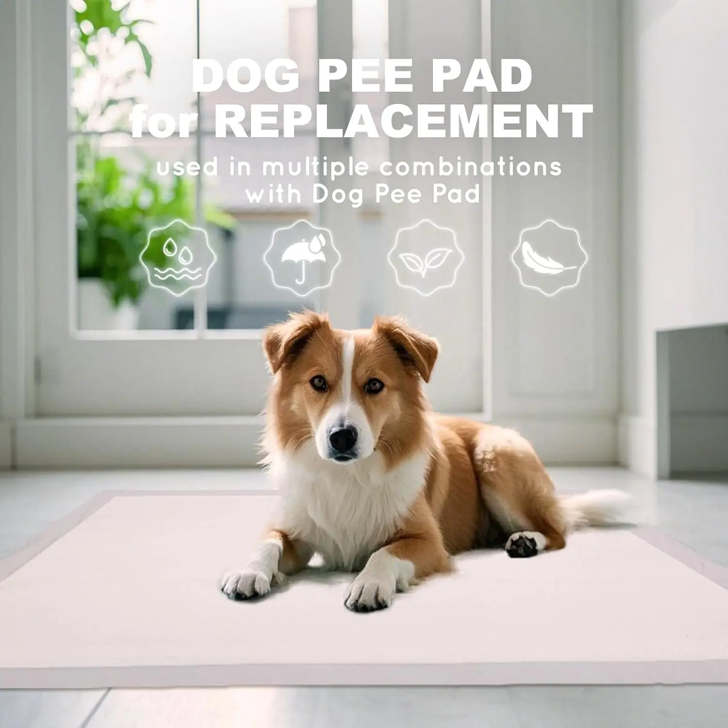 Dog Pee Pads, Thick/Ultra Absorbent Puppy Dog Training Pads, Large Size 36