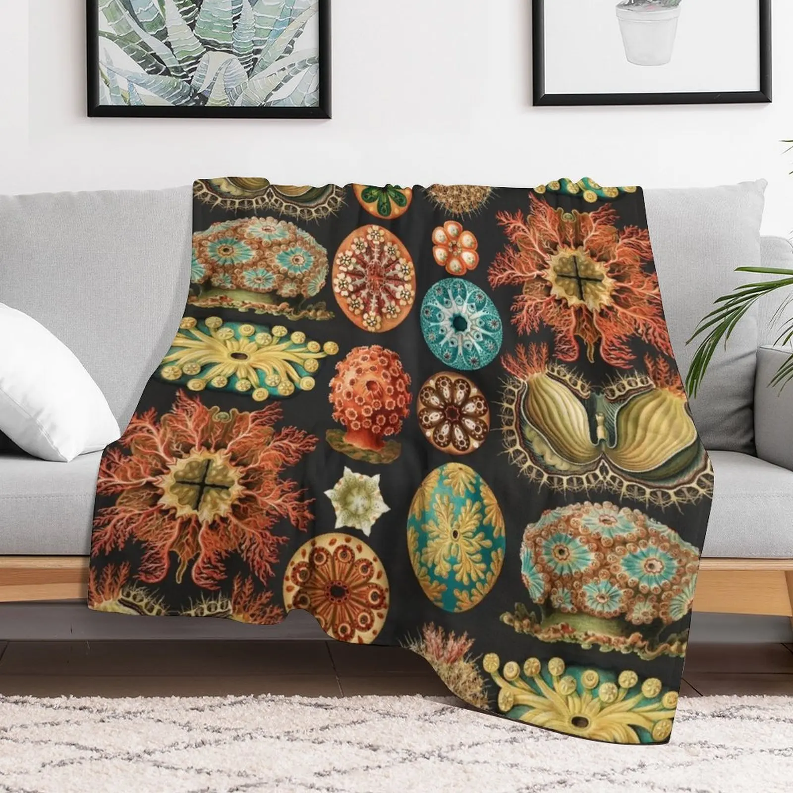 

Vintage Urchin Sea Nautical Theme Design Dark and Moody Throw Blanket Custom Camping Fashion Sofas Sofas Blankets