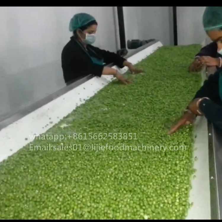 frozen green peas production line green peas shelling machine Green peas fluidized bed fr eezing machine