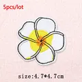 PE17026CT