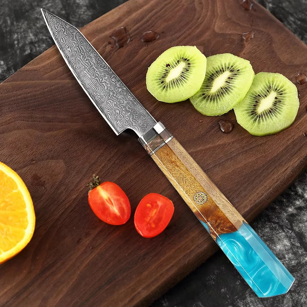 

XITUO Damascus Paring Knife Fruit Knife 4 Inch Pro Kitchen Knife Japanese Damascus Steel Fruit Carving Knife Resin & Wood Handle