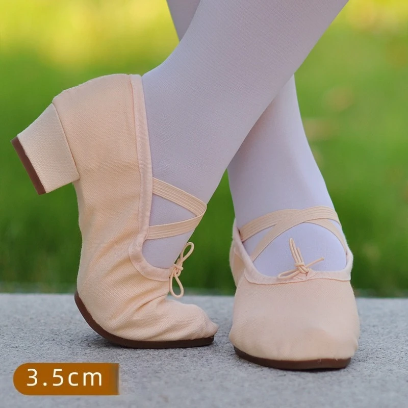 

Professional Dance Shoes Women Soft Sole Latin Belly Dance Shoes Mid Heel for Adults Outdoor Rubber Sole