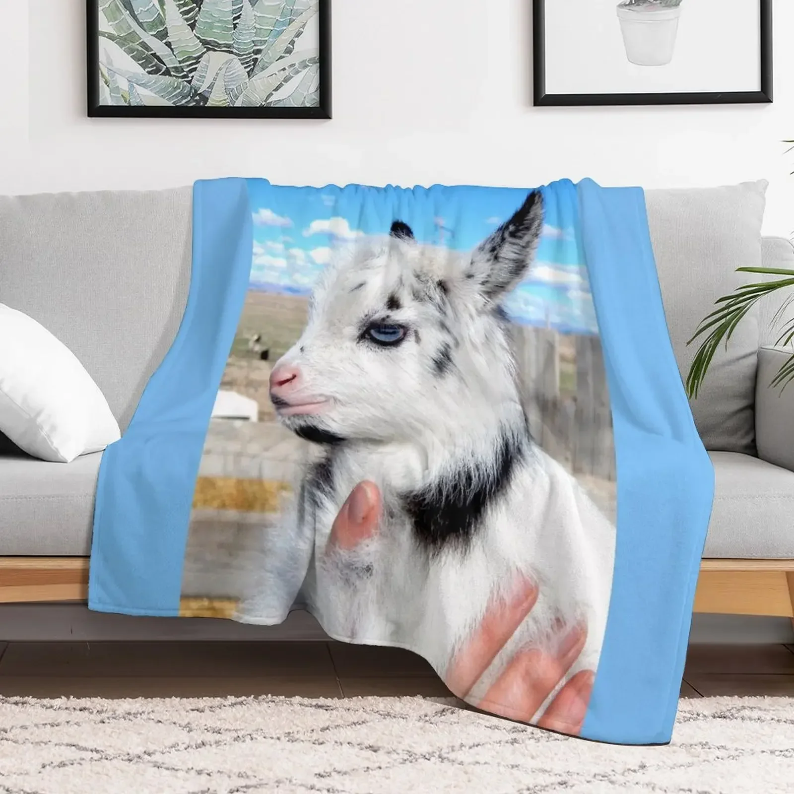 

blue eyed goat Throw Blanket For Decorative Sofa Decorative Sofas Blankets Large Decorative Beds Blankets