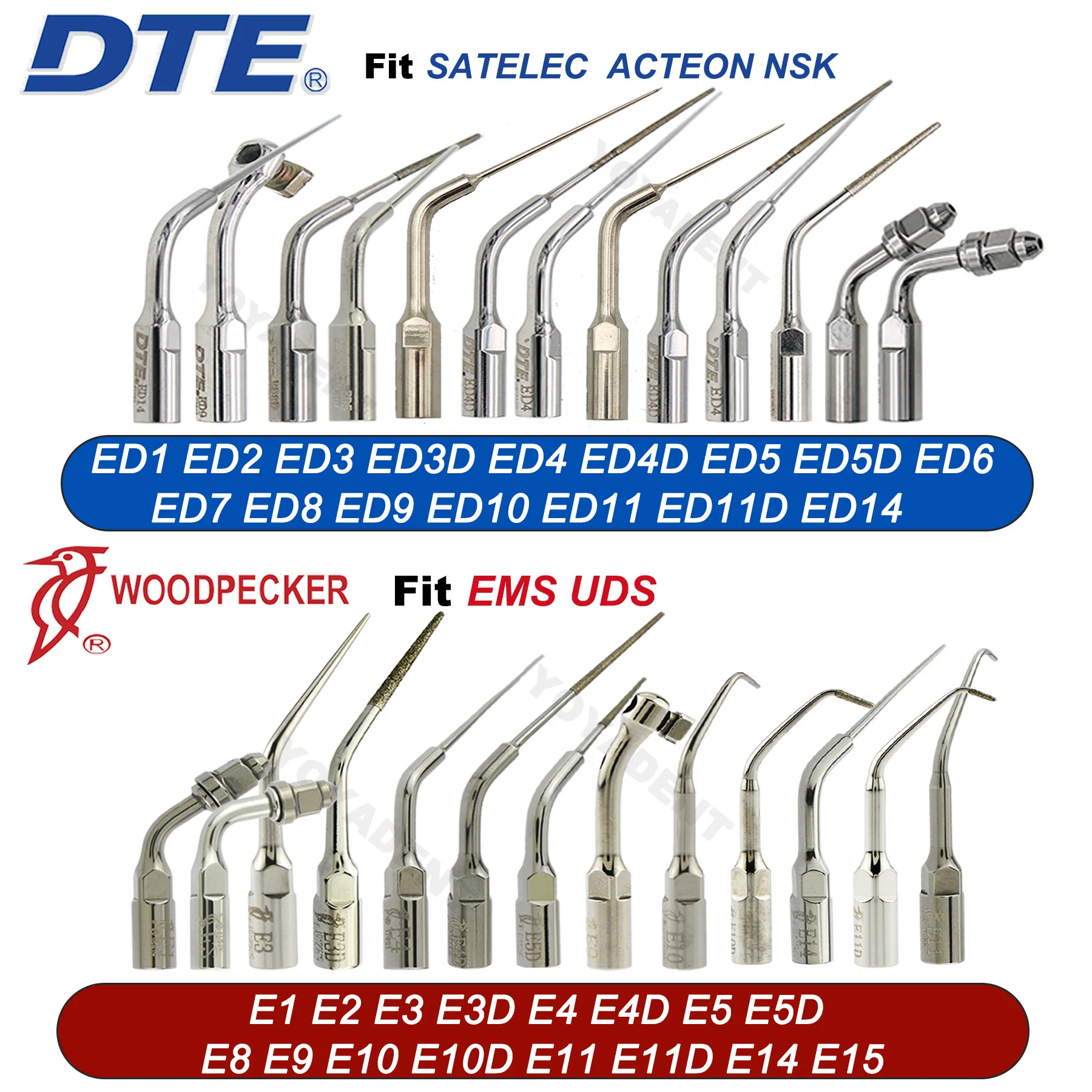 Woodpecker Dte Dent…