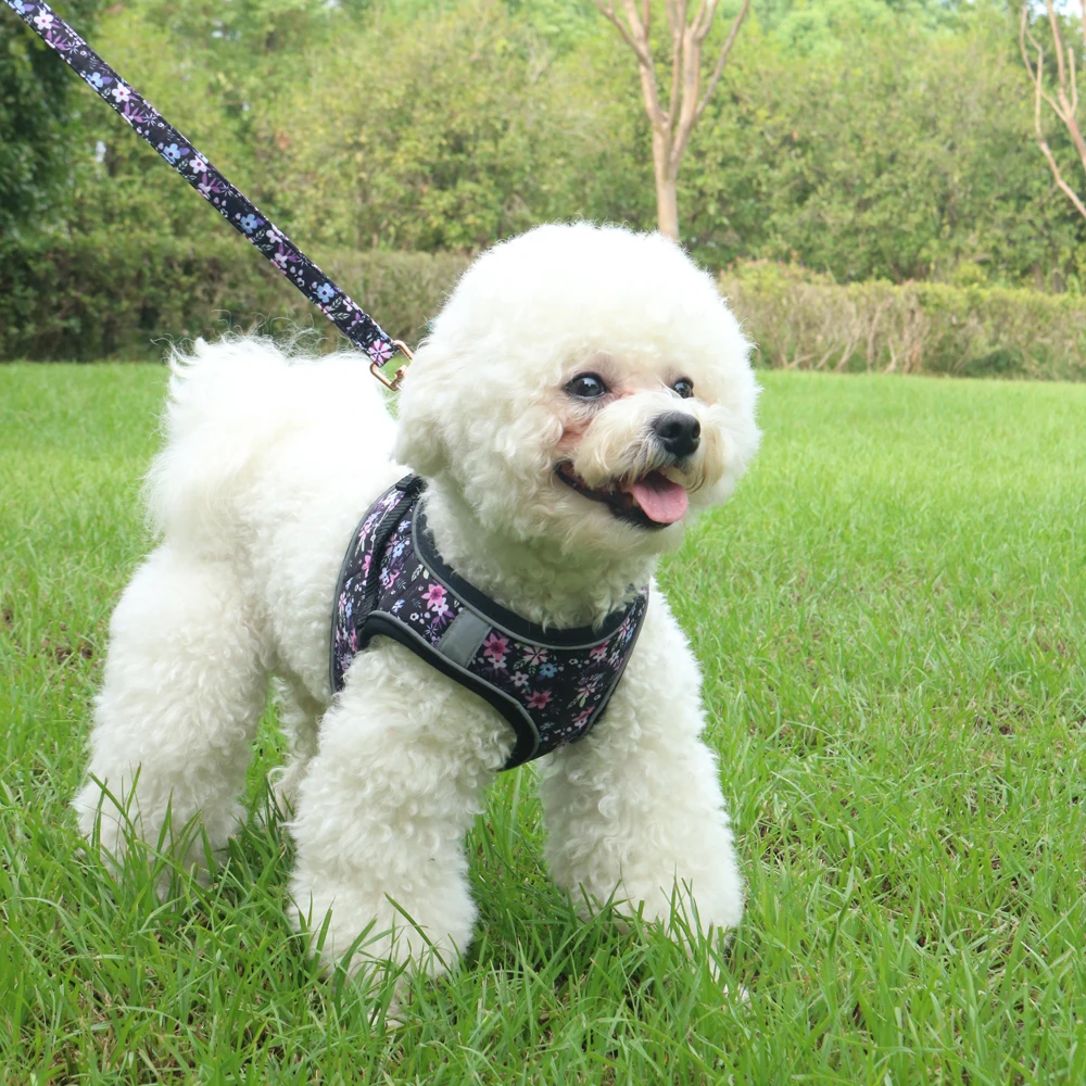 Thumbnail 2 - #24 Latest Puppy Harnesses Offers