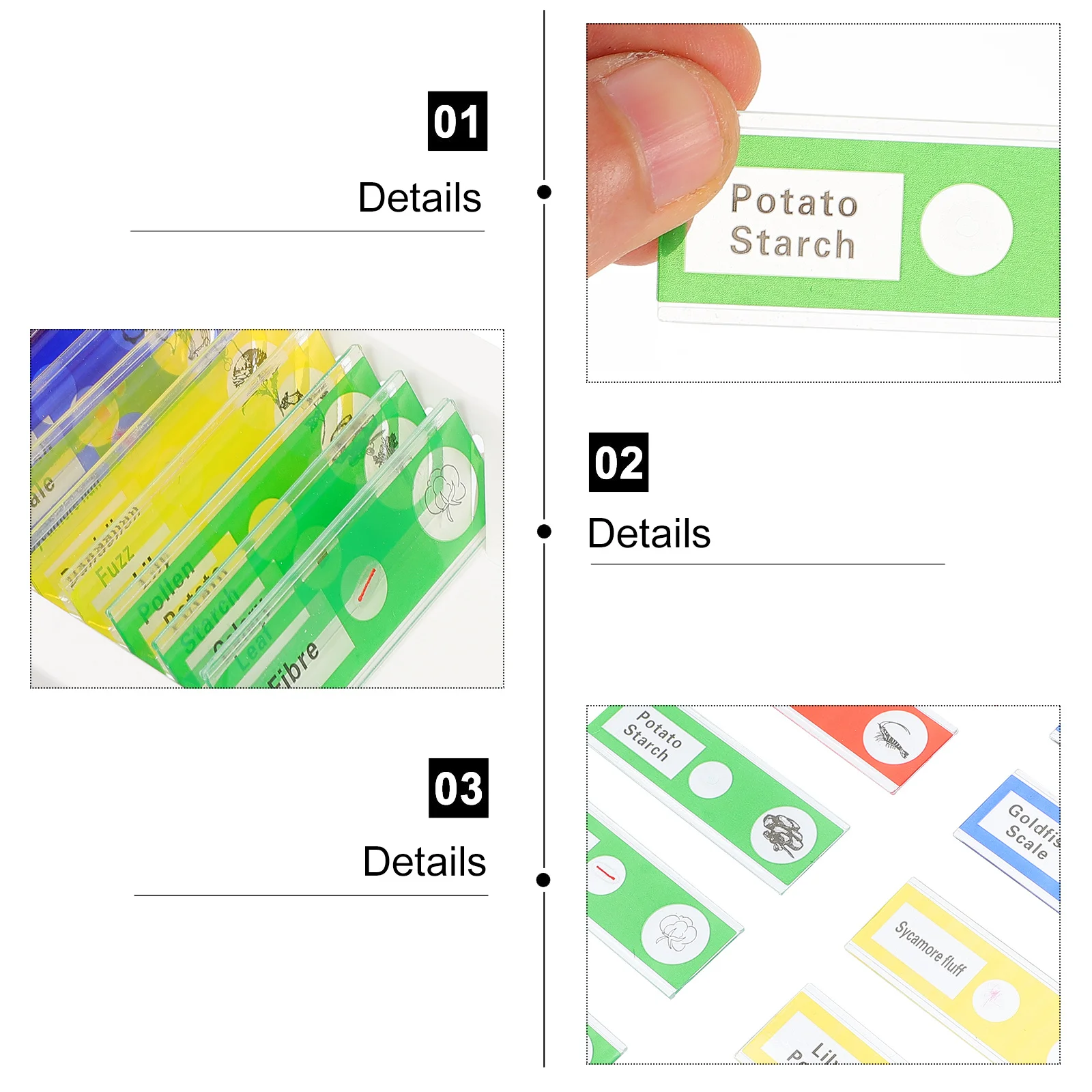 36 pz Vetrini biologici Vetrini per microscopio preparati per bambini Raccolta di campioni in plastica Pianta Campioni di insetti animali Stereo