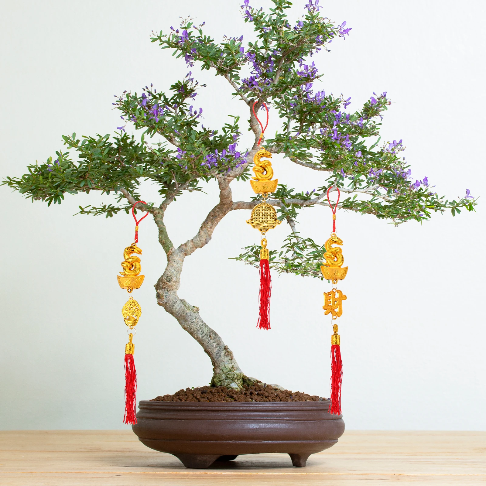 

10 Pcs Lantern Money Tree Hanging Decoration Baby New Year Decorations Cotton Thread