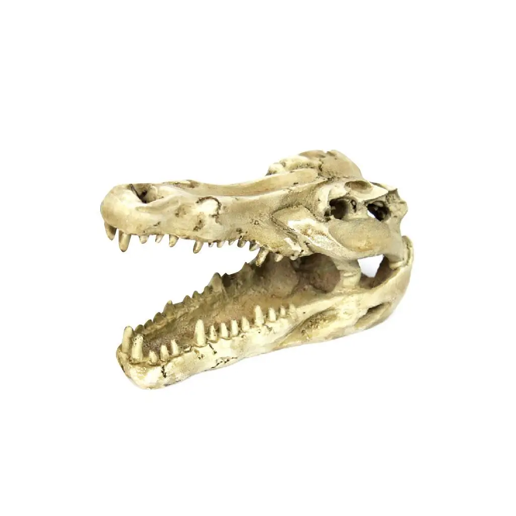 الزواحف Vivarium الديكور إخفاء الكهف حوض السمك تحت الماء زخرفة الجمجمة