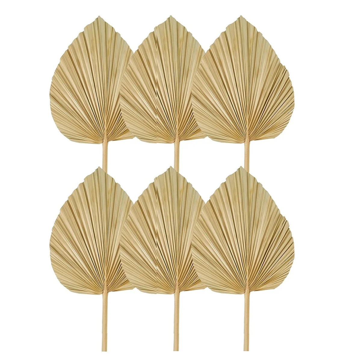 6PCS Dried Palm Leaves Natural Dried Palm Fans,Large Palm Spear for Boho Wedding Decor,Tropical Palm Leaves Decoration S