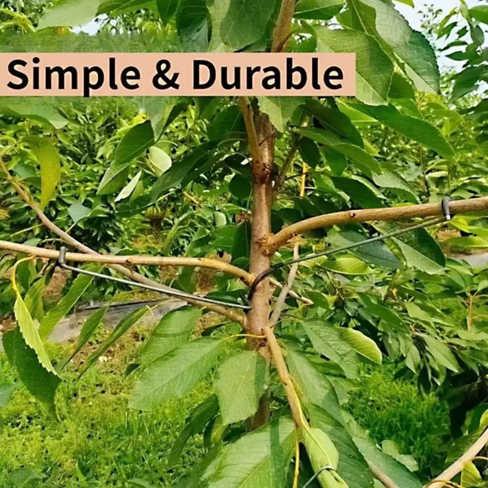 10 PCS Metal Limb Spreader Rubber Hooks Multi Function Branch Bender Easy Install Smooth Surface Gardening Tool Fruit Trees