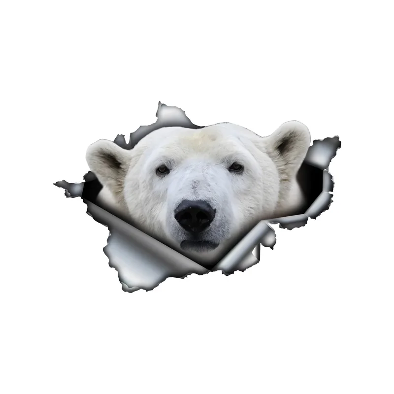 DK438# Polar Bear Car Stickers Funny Waterproof Vinyl Decal Motorcycle Decorative Accessories, Used for Car, Motorcycle, Laptop,