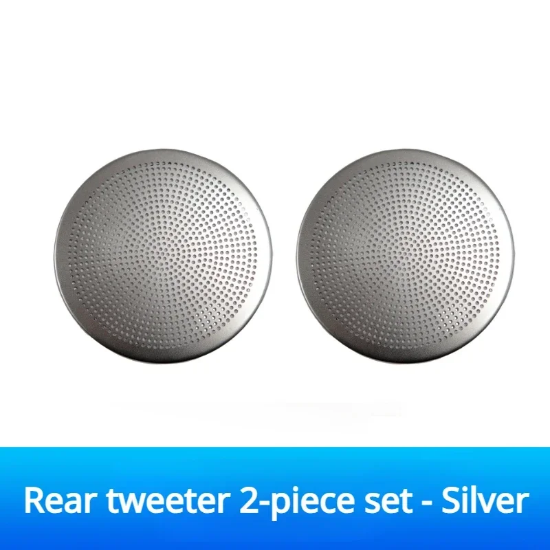 Silver Back door