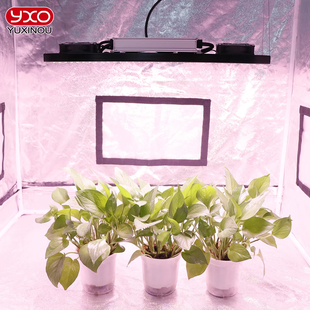 240W Sam-sung Diode Quantum LED Grow Light Full Spectrum Sunlike Phyto Lamp For Veg Greenhouse Hydroponic Plant Growth Lighting