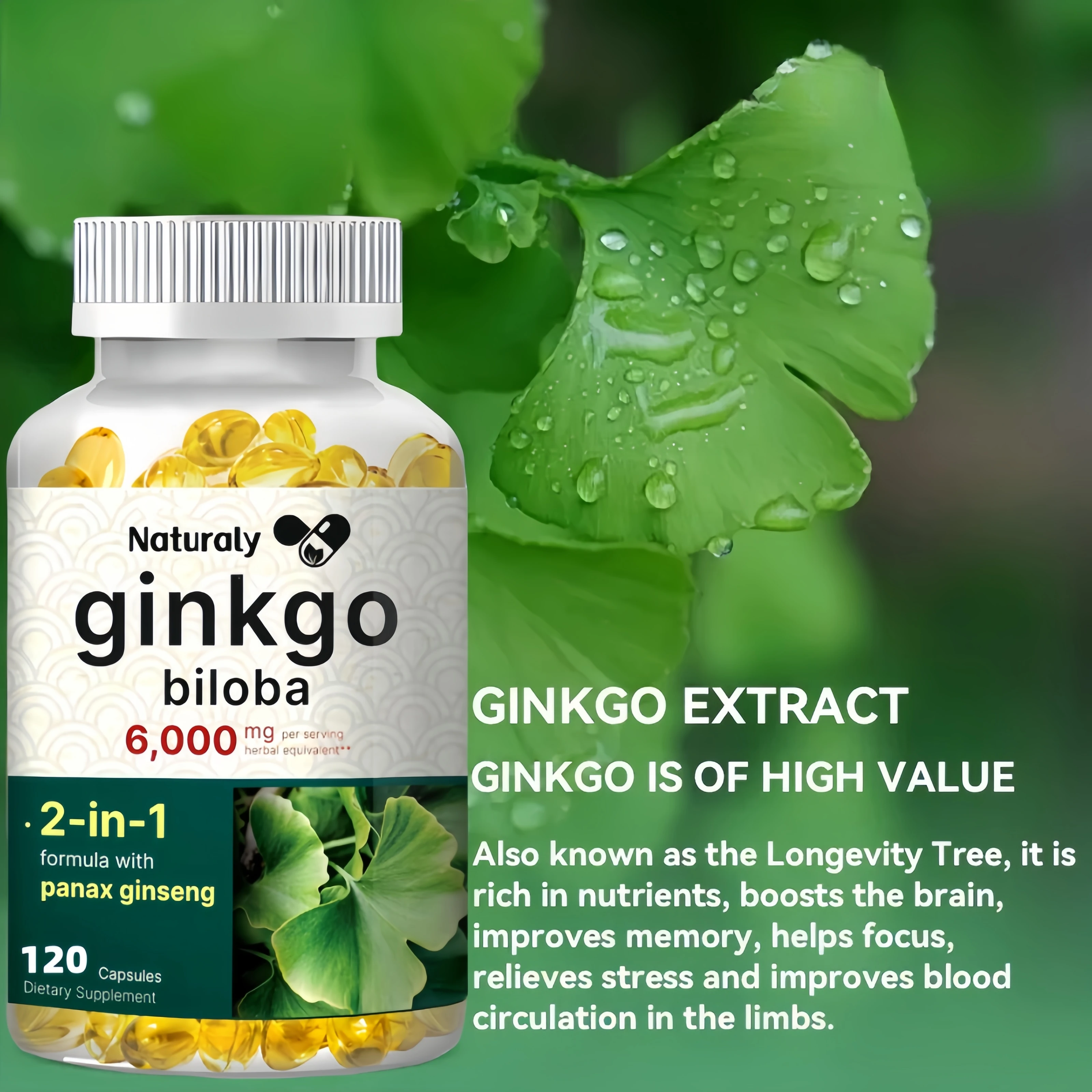 Ginkgo Leaf Capsules, Helps Memory, Learning Ability, Concentration, Better Mood and Healthy Brain