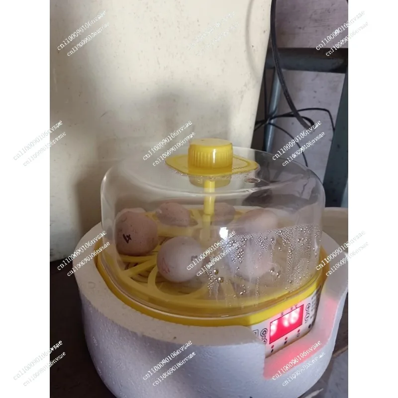 

Small Smart Automatic Chicken Hatchery Machine Water Bed Home Use Egg Incubator Lovebird & Parrot