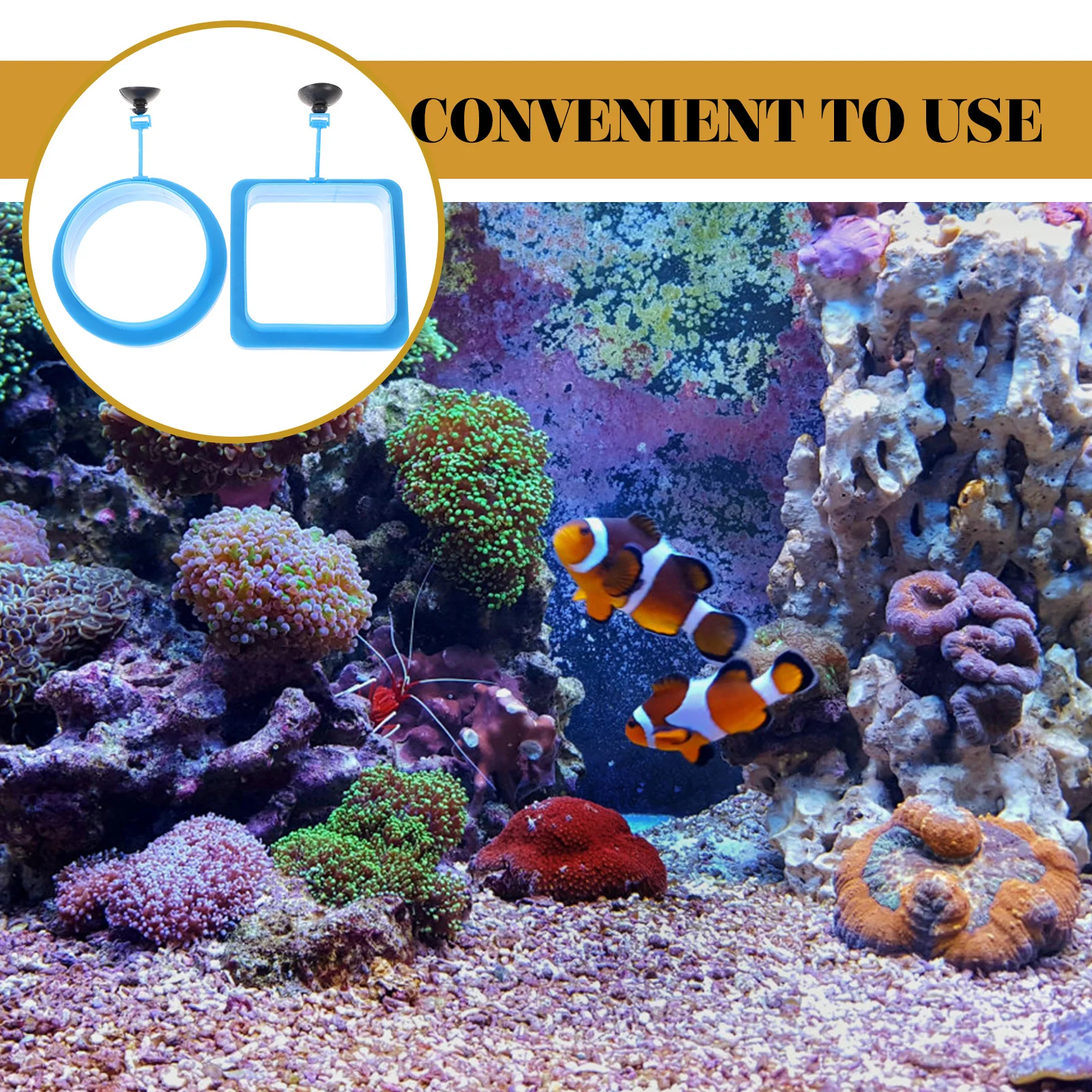 

2 Pcs Fish Feeding Circle PVC Blue Square Round for Aquarium Tank Floating Feeders Durable Practical Pet Supplies