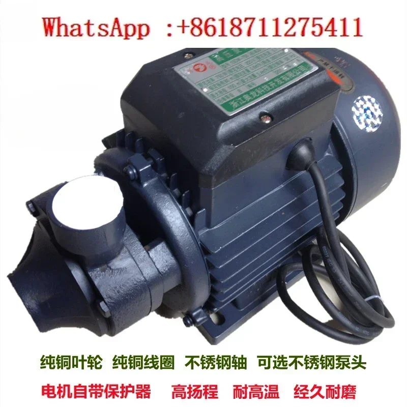 Water Pump 15DW750 Watt High Pressure Pump Steam Generator Electric Heating Pellet Boiler Water Pump Accessories