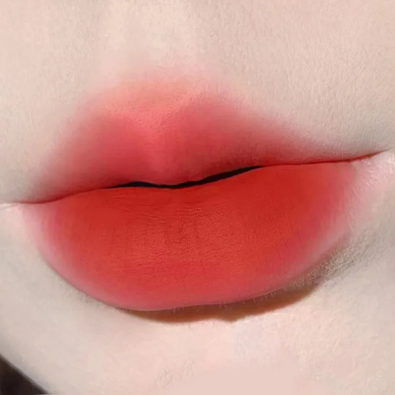 Lucidalabbra ad aria impermeabile e durevole Cuscino in velluto opaco Crema per labbra Crema in polvere per labbra Lucidalabbra bianco naturale da donna