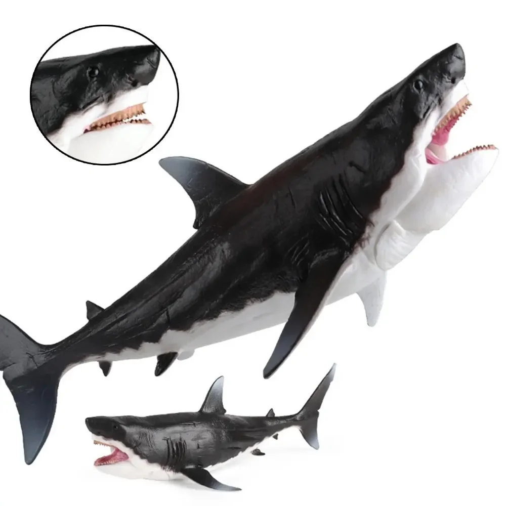 Wild Megalodon Action Figure  Realistic Plastic Ocean Animal Statue Handmade Big Shark Fish Model