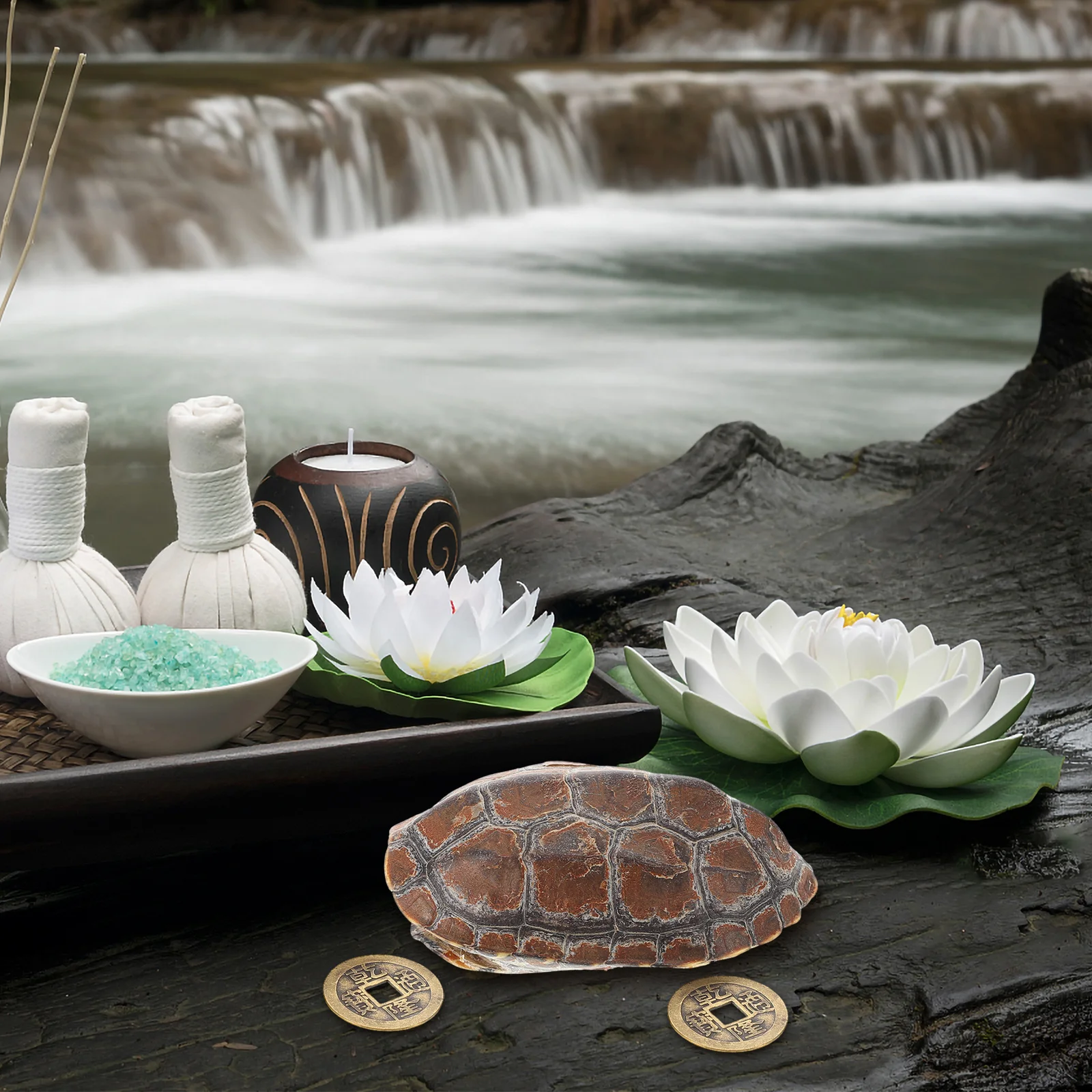 

1 Set Exquisite Turtle Shell Handpiece Cultural Craft For Divination Living Room Decor Desktop Ornament Shell Chinese Coin Retro