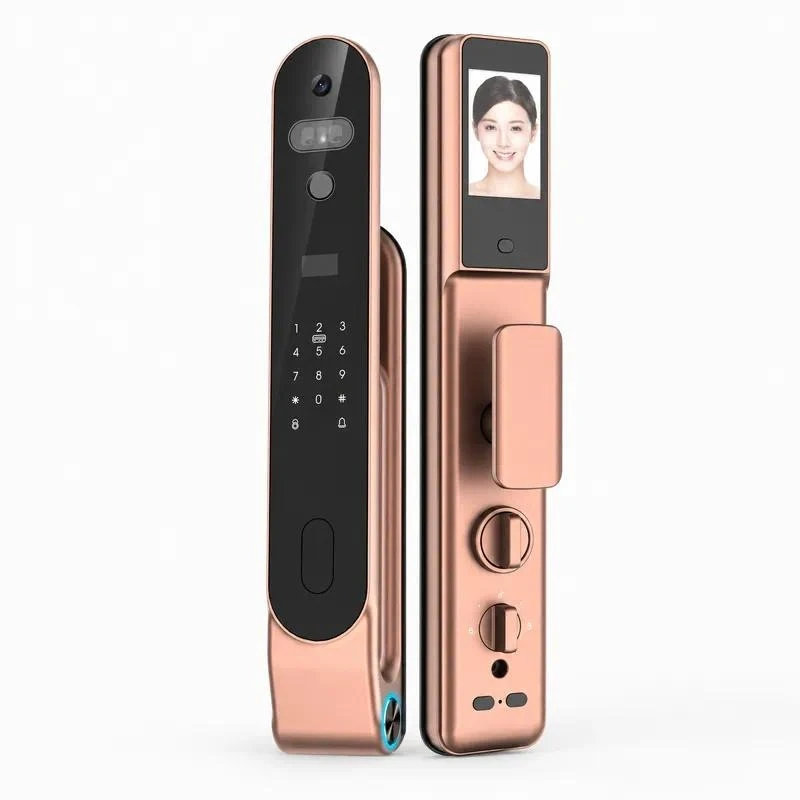 High quality 3D Face Lock Password Palm Print Palm Vein Double Smart Anti theft Door Electronic Cat Eye Monitoring Lock