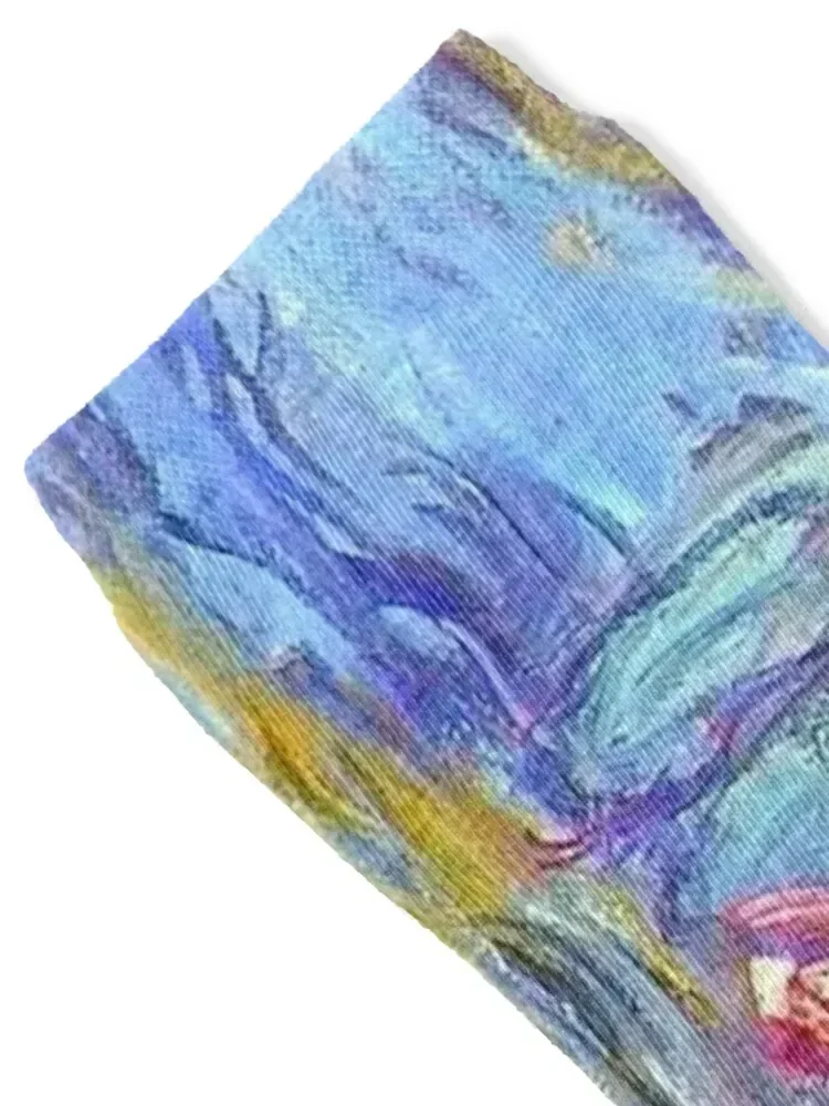 Water Lilies Monet colorful Socks Crossfit set Non-slip loose Socks Female Men's