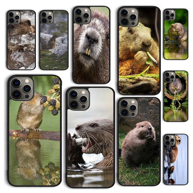 Autumu Animal Beaver Phone Case Cover for iPhone 16 15 12 mini 11 13 14 Pro Max SE 2020 Apple 6S 7 8 Plus Coque