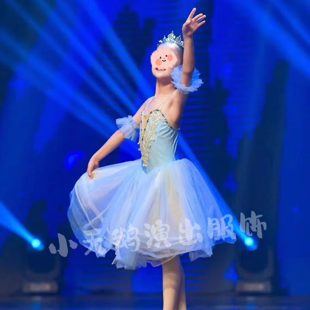 Children's Professional Ballet Skirt Little Swan Princess Dance Skirt Poncho Soft Yarn Long Yarn Tutu Skirt Performance Clothing