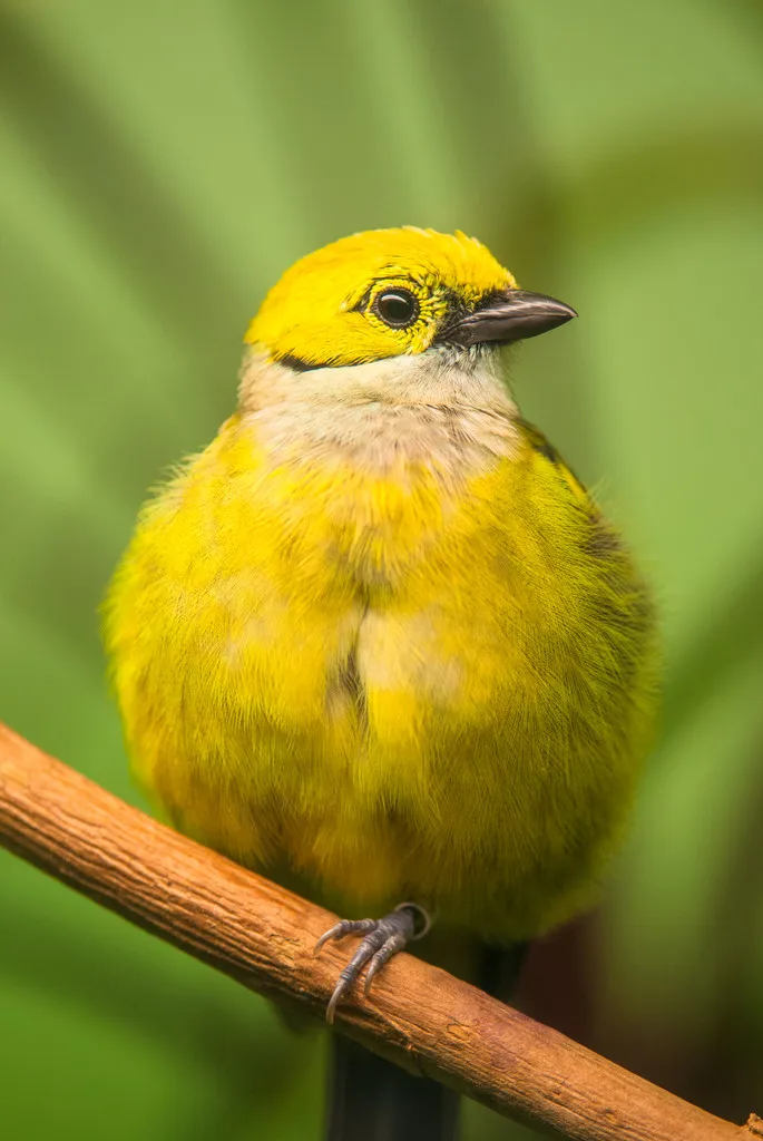 

Metal Steel Front And Rear Driveshaft Axle CVD 5451R For 1/10 Trxs E-Revo/E-Maxx/T-Maxx/Revo RC Car Upgrades Parts