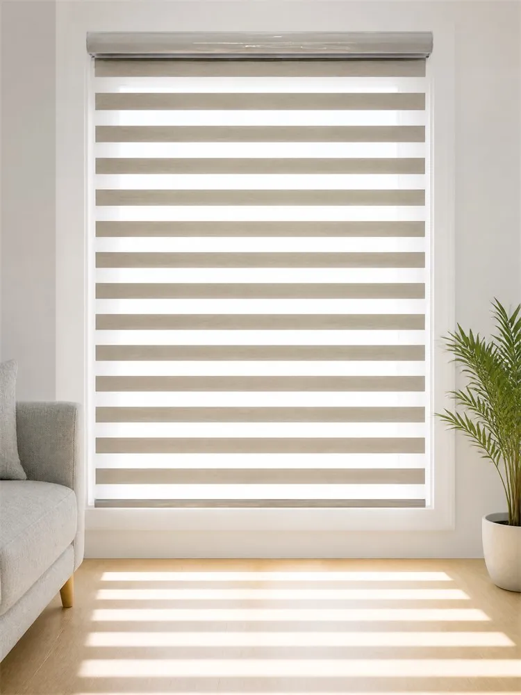 High Shading Zebra Window Blinds with Fine Sheer Panels, Day and Night Dual Layer Shades for Living Room Bedroom, Custom Size