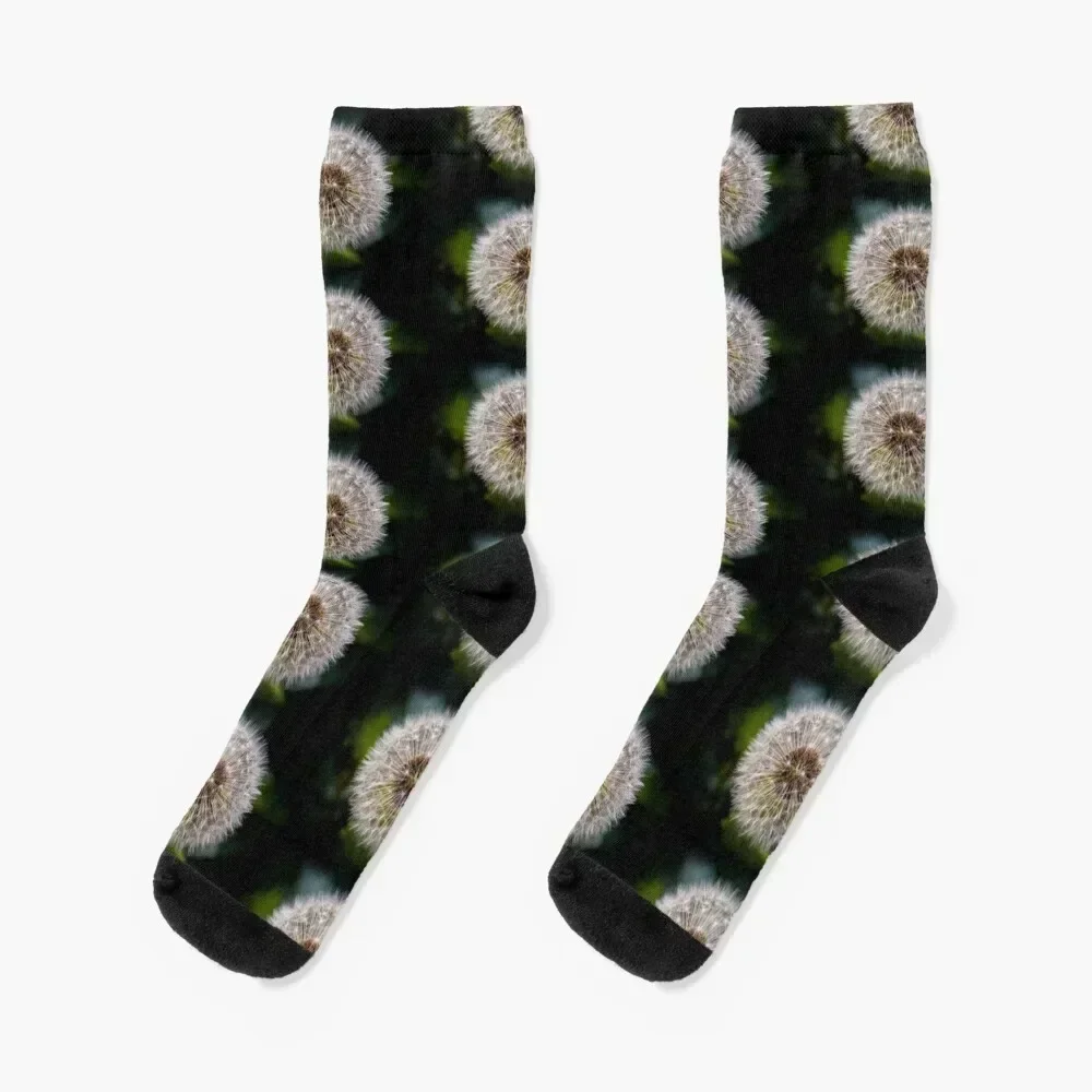 Dandelion Socks winter gifts Novelties kids sports and leisure Socks For Girls Men's
