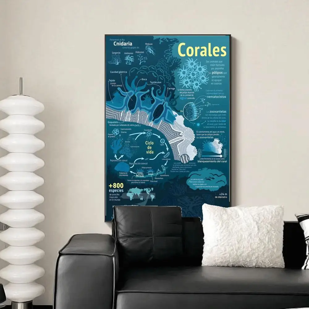 Mysterious Marine Creatures Poster HD Art Mural Wallart Waterproof Vintage Print Decor For Home Decoration DIY Durable