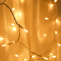 1Pcs USB Powered LED String Lights Colored 5M 50 Leds Decorative Lamps for Wedding Christmas Garden Home Holiday