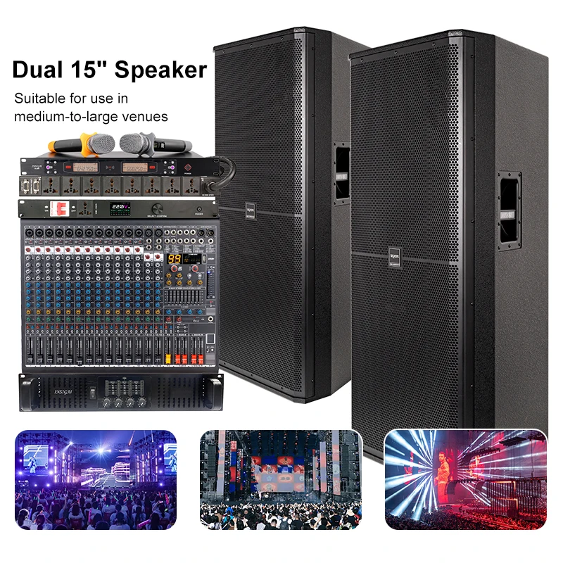Dual 15 Inch Speaker Perfect For Medium Large Concerts Events Live Performances Venues Stage Dual 15 Inch Professional Speakers