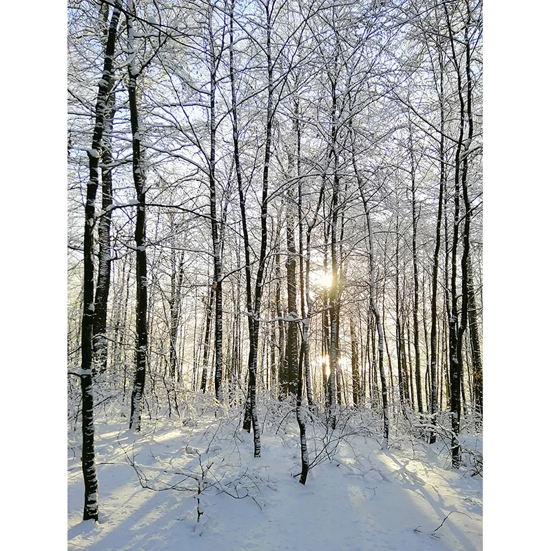 Winter Forest Snowcovered Road Photography Backdrops Blurred Landscape Snowflakes Road Spruce Trees Photo Background XD-12