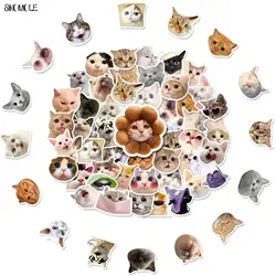 10/30/50PCS Mix Cartoon Cat Expression Big Head Photo Stickers Animal For Children DIY Toy Travel Laptop Graffiti Sticker Decals