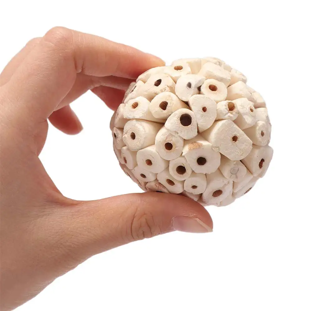 Natural Harmless Tooth Grinding Parrot Bird Accessories Budgies Grinding  Bird  Sola Ball Interactive