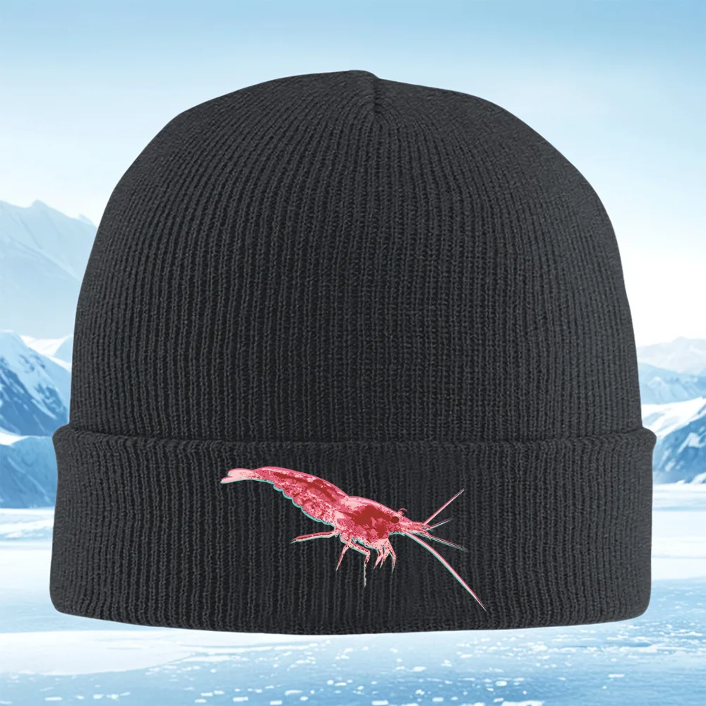 Cuerpo De CamaróN, … - image