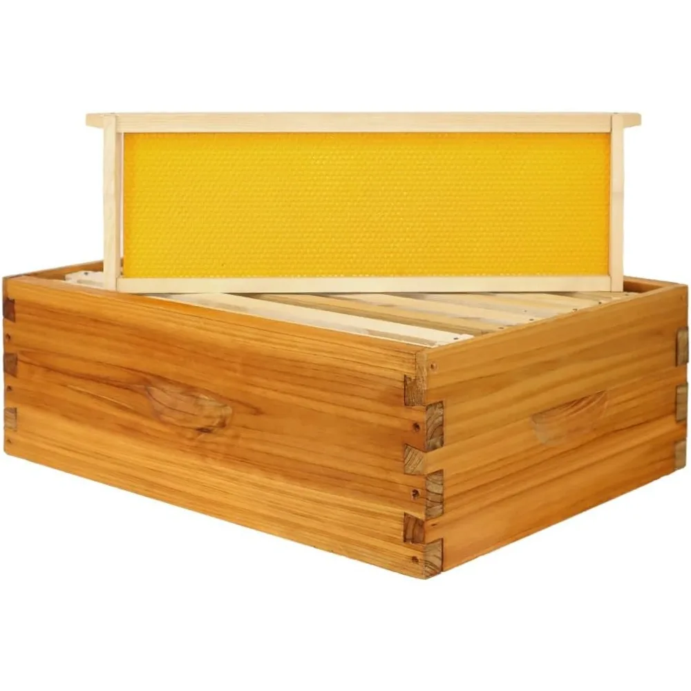 

8 Frame Medium Super Bee Box, Assemble Bee Hive Box, Dipped in 100% Beeswax, Include Beehive Frames and Bee Hive Foundation