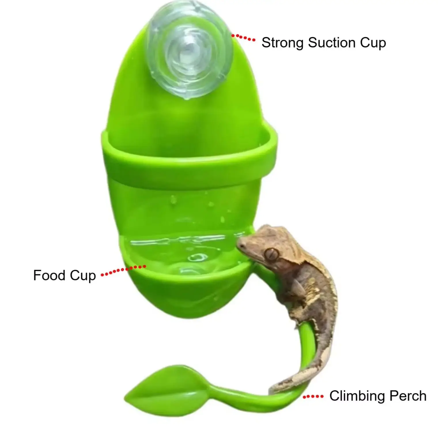 Suction Cup Reptile Feeding Ledge Feeder Bowl Anti Escape Food Dish for Leopard Gecko Crested Gecko Terrarium