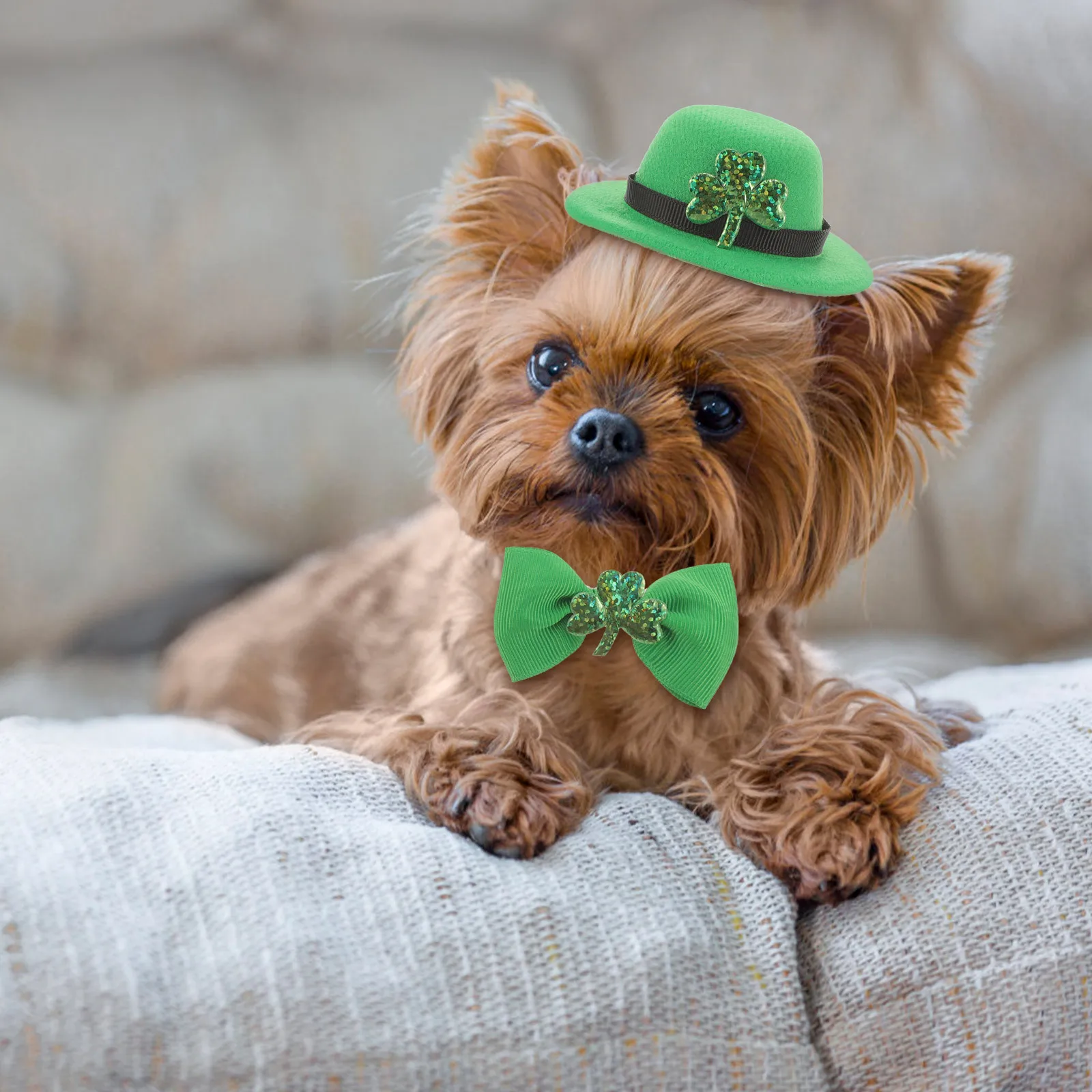 

1Set Dog Cat St Patricks Day Costume Hat Collar Set Cute Irish Party Pet Outfit Puppy Kitten Dog St Patricks Day Outfit