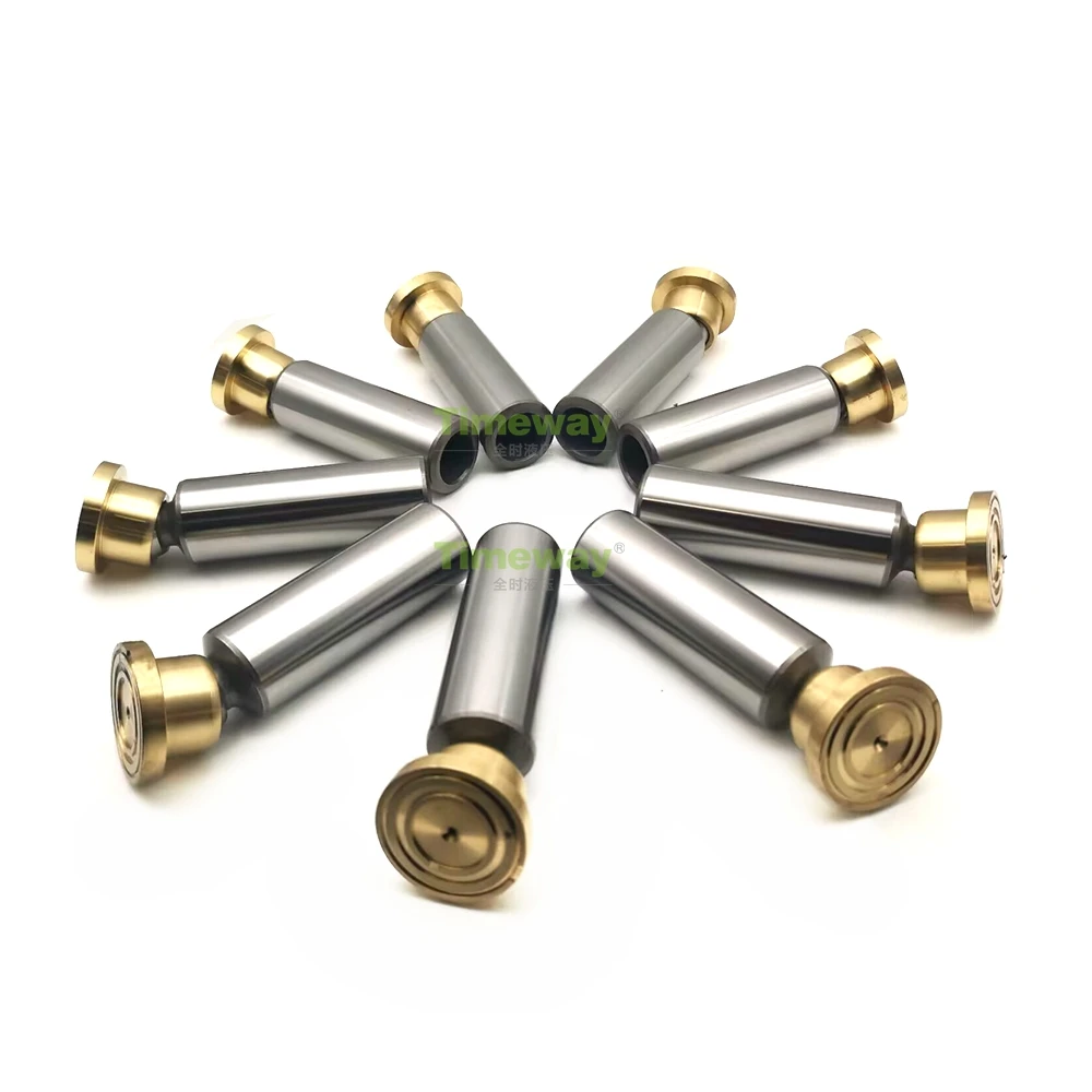 Hydraulic Pump Repair Parts Piston Shoe Replacement Spare Components for Repair HAWE V30D250 Pump