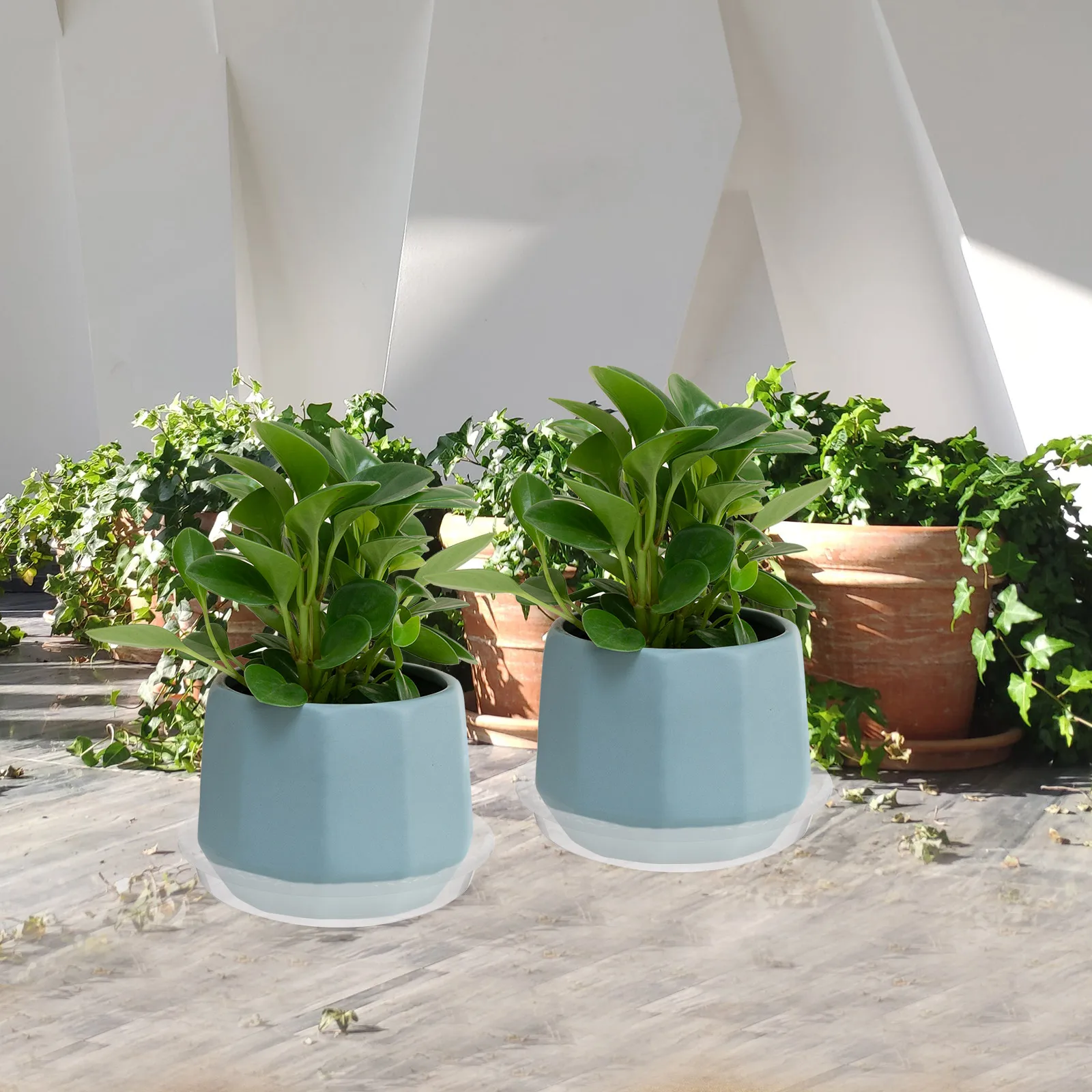 

4pcs Transparent Flowerpot Trays Plant Saucers Indoor Pot Drainers for Plants Flowers Bottom Plates PET Material Stable Durable