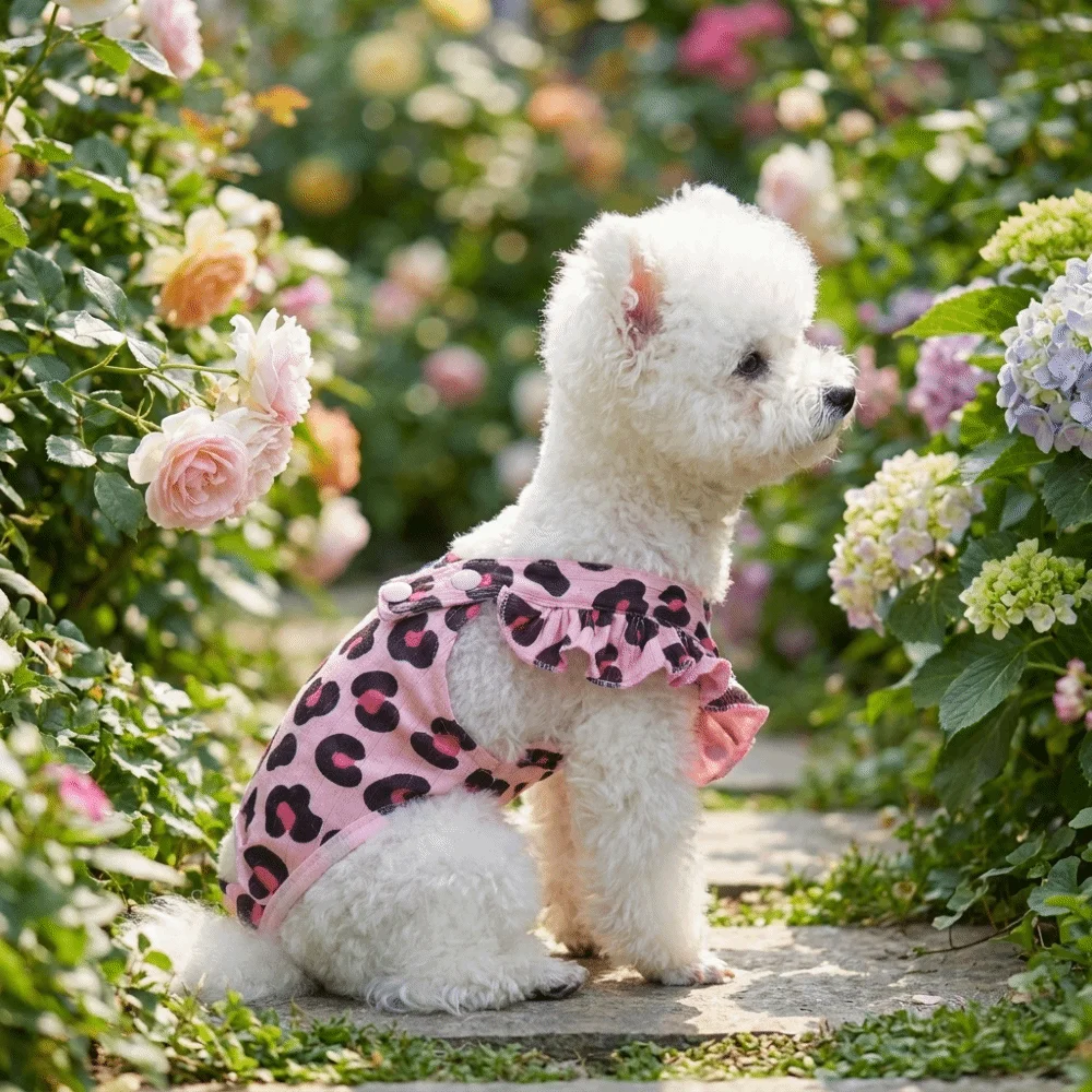 Adjustable Dog Diaper Suspenders Leak Proof Breathable Pet Physiological Pants Cartoon Comfortable Female Dog Diapers Pet Care